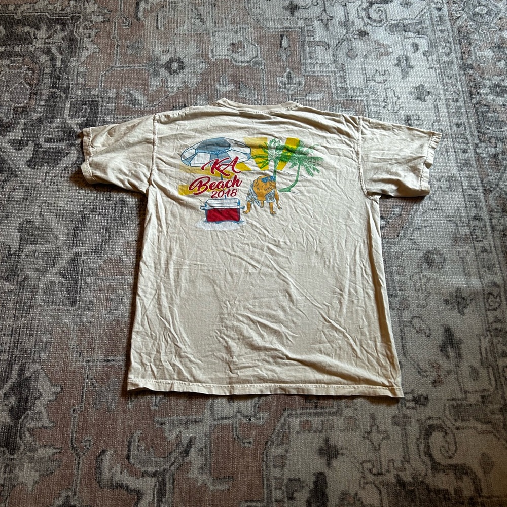 Comfort colors large fraternity T